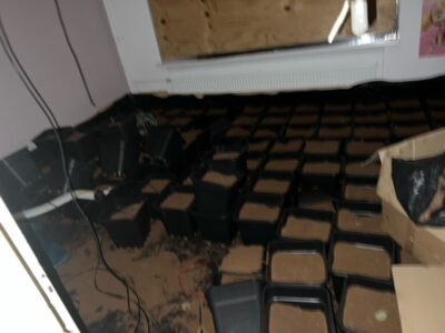 wietkwekerij hennepkwekerij kantoor leegmaken opruimen ophalen afvoeren