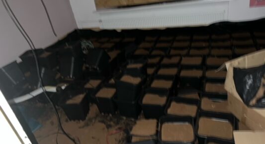 wietkwekerij hennepkwekerij kantoor leegmaken opruimen ophalen afvoeren